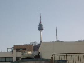 에코에서 바라본 남산 N타워