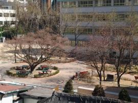 에코하우스뒤 남산초등학교 교정